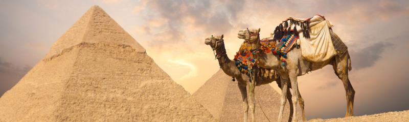Tour de Un Día en El Cairo el Museo Egipcio y las Pirámides