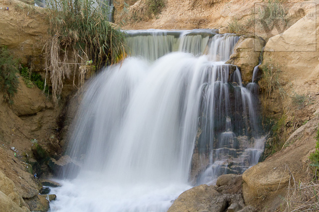 El-Oasis-de-El-Fayum-Egipto