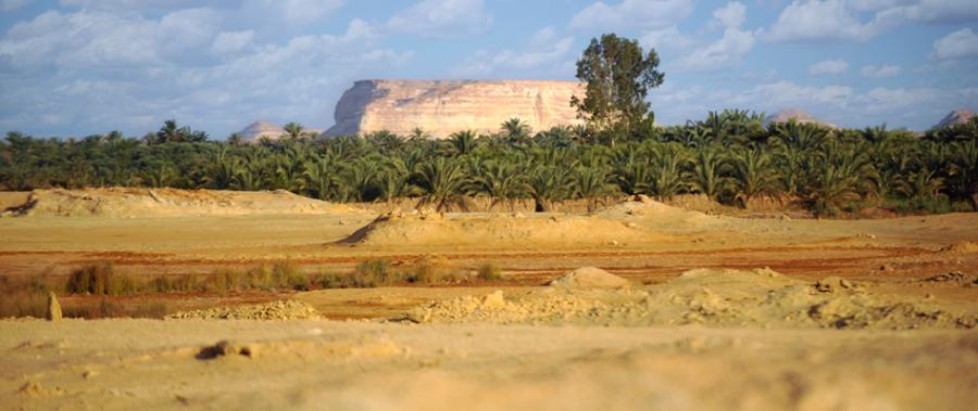 Oasis-Siwa-safari-desierto-Egipto