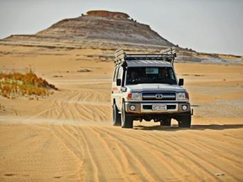 Oasis-de-Siwa