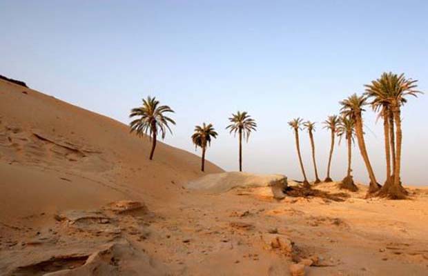 Wadi_El_Ryan_Egipto